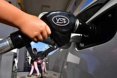 Giá 'vàng đen' tại châu Á đảo chiều đi lên trong phiên ngày 12/11