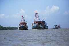 Tàu cá neo đậu trên vùng biển của Việt Nam. (Ảnh: Hồng Đạt/TTXVN)