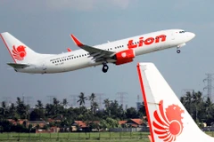 Một máy bay của hãng hàng không Lion Air. (Nguồn: nikkei)