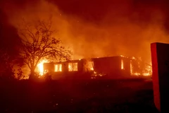 Tổng thống Mỹ tranh cãi với lãnh đạo California về các vụ cháy rừng