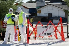 Trong ảnh: Nhân viên kiểm dịch phong tỏa lối vào trang trại nơi phát hiện trường hợp lợn nhiễm bệnh nghi là tả lợn châu Phi tại Gimpo, Hàn Quốc, ngày 23/9/2019. (Nguồn: Yonhap/TTXVN)