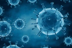 Phát hiện chủng virus HIV mới tại Cộng hòa Dân chủ Congo