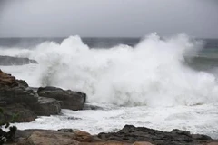 Nhật Bản: Siêu bão Habigis gây nhiều thương vong và thiệt hại