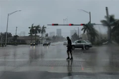 Bão Dorian đổ bộ gây mưa lớn tại Fort Lauderdale, bang Florida, Mỹ ngày 2/9/2019. (Nguồn: AFP/TTXVN)