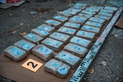 Phá đường dây buôn ma túy xuyên biên giới giữa Slovenia và Hungary