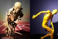 Triển lãm dự kiến kéo dài đến 31/12.