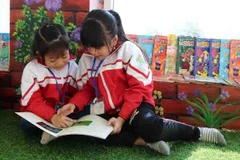 Ảnh minh họa. (Nguồn: TTXVN)