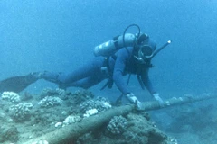 Ảnh minh họa. (Nguồn: honolulubeat)