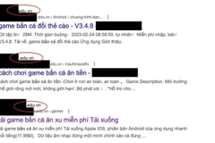 Gần 170 trang về giáo dục có tên miền .edu.vn bị tấn công, cài nội dung liên quan đến cá độ, cờ bạc. (Ảnh chụp màn hình)