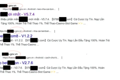 Một số webiste giả mạo 'núp bóng' dưới các đường link .gov.vn (Ảnh chụp màn hình)