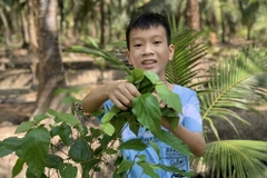 Chân dung Đào Khương Duy - Nam sinh giành giải Ba Cuộc thi Viết thư Quốc tế UPU 2023. (Ảnh: VietnamPost)