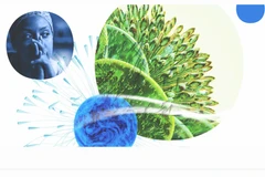 Ảnh minh họa. (Nguồn: wipo.int)