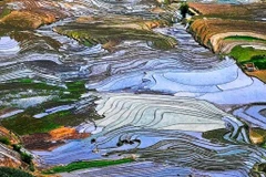Ghé thăm Lào Cai mùa nước đổ dịp tháng Năm và tháng Sáu, du khách có thể ngắm nhìn những thửa ruộng bậc thang đẹp nhất tại Sa Pa, Bát Xát, Bắc Hà hay Si Ma Cai. (Ảnh: Đỗ Mạnh Hùng/Vietnam+)