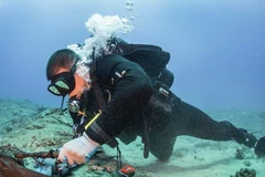 Ảnh chỉ có tính chất minh họa.