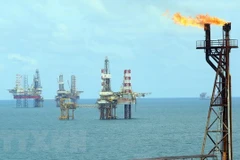 Ảnh chỉ có tính minh họa. (Ảnh: Huy Hùng/TTXVN)