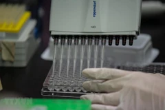 Ảnh minh họa. (Nguồn: TTXVN)