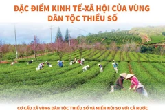 [Infographics] Đặc điểm kinh tế-xã hội của vùng dân tộc thiểu số
