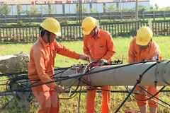 Công nhân Công ty Điện lực Quảng Nam tập trung khắc phục lưới điện sau bão số 9. (Ảnh: Trần Tĩnh/TTXVN)
