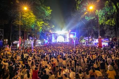 Tiger Remix 2020. (Nguồn: Vietnam+)