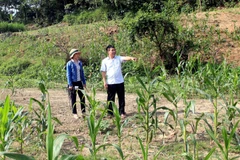 Cán bộ Sở Tài nguyên và Môi trường tỉnh Tuyên Quang kiểm tra khu vực bờ sông thuộc địa phận thôn 4, xã Thái Bình, huyện Yên Sơn. (Ảnh: Quang Cường/TTXVN)