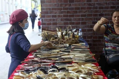 Khách tham quan gian hàng của làng nghề xương sừng Thụy Ứng. (Ảnh: Tuấn Đức/TTXVN) 