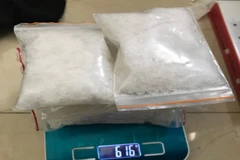 Tang vật vụ án. (Nguồn: TTXVN)