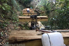 Hiện trường vụ bắt giữ 11 đối tượng khai thác và vận chuyển gỗ trái phép ở Đăk Tô. (Ảnh: Cao Nguyên/TTXVN)