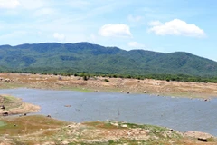 Ảnh minh họa. (Nguồn: TTXVN)