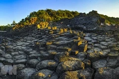 Ghềnh Đá Đĩa - một điểm tham quan nổi tiếng của Phú Yên. (Ảnh: Minh Đức/TTXVN)