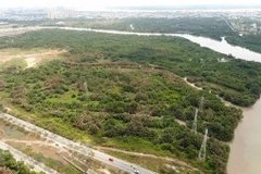 Khu đất hơn 32ha được Công ty Tân Thuận chuyển nhượng không đúng quy định cho Công ty Quốc Cường Gia Lai. (Ảnh: TTXVN phát)