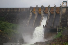 Ảnh minh họa. (Nguồn: TTXVN)