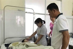 Ảnh minh họa. (Nguồn: TTXVN)