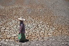 Cánh đồng khô nứt nẻ do hạn hán tại tỉnh Suphanburi , Thái Lan. (Ảnh: AFP/TTXVN)