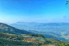 Những nấc thang lên thiên đường giữa lưng chừng trời tạo nên cảnh tượng hùng vỹ ở Y Tý. (Ảnh: Xuân Mai/Vietnam+)