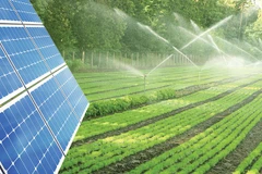 Ảnh minh họa. (Nguồn: vneconomy.vn)