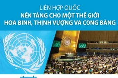 Liên hợp quốc: Nền tảng cho thế giới hòa bình, thịnh vượng, công bằng