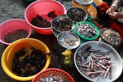 Phong phú sản vật mùa nước nổi được bày bán ở các khu chợ. (Ảnh: Duy Khương/TTXVN) 