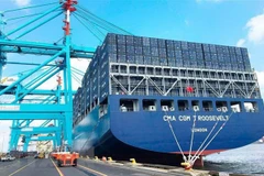 Tàu chở hàng hóa xuất nhập khẩu tại cảng Port Elizabeth của Nam Phi. (Ảnh: Phi Hùng/TTXVN)