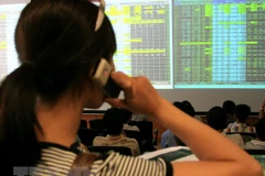 Ảnh chỉ có tính minh họa. (Nguồn: TTXVN)