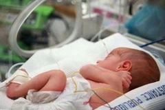 Ảnh chỉ có tính minh họa. (Nguồn: AFP) 