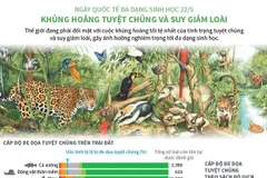 [Infographics] Khủng hoảng tuyệt chủng và suy giảm loài