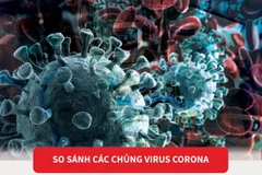 [Infographics] So sánh các chủng thuộc họ virus corona