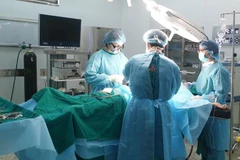 Ảnh minh họa. (Nguồn: Vietnam+)