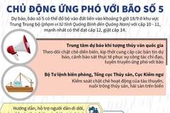 [Infographics] Các địa phương chủ động ứng phó với bão số 5