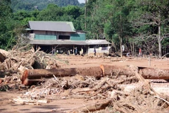 Cây cối nằm ngổn ngang sau trận lũ quét, cô lập hoàn toàn xã Hướng Việt. (Ảnh: TTXVN phát)