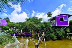 Một góc trong khuôn viên Căn nhà màu tím. (Ảnh: Thanh Liêm/TTXVN)