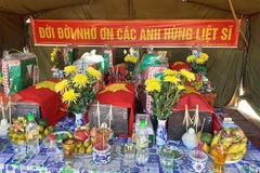 Ảnh minh họa. (Nguồn: TTXVN)