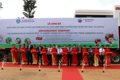 Đại biểu thực hiện nghi thức lễ cắt băng xuất khẩu chanh leo sang thị trường châu Âu. (Ảnh: Hồng Điệp/TTXVN)