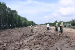 Lãnh đạo Hạt kiểm lâm thị xã Vĩnh Châu kiểm tra khu vực rừng phòng hộ bị chặt phá. (Ảnh: Chanh Đa/TTXVN)