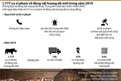 [Infographics] 1.777 vụ vi phạm về động vật hoang dã trong năm 2019